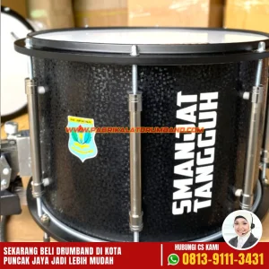 Jual Drum Band di Puncak Jaya-5