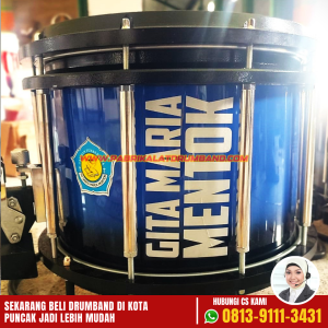 Jual Drum Band di Puncak Papua-5