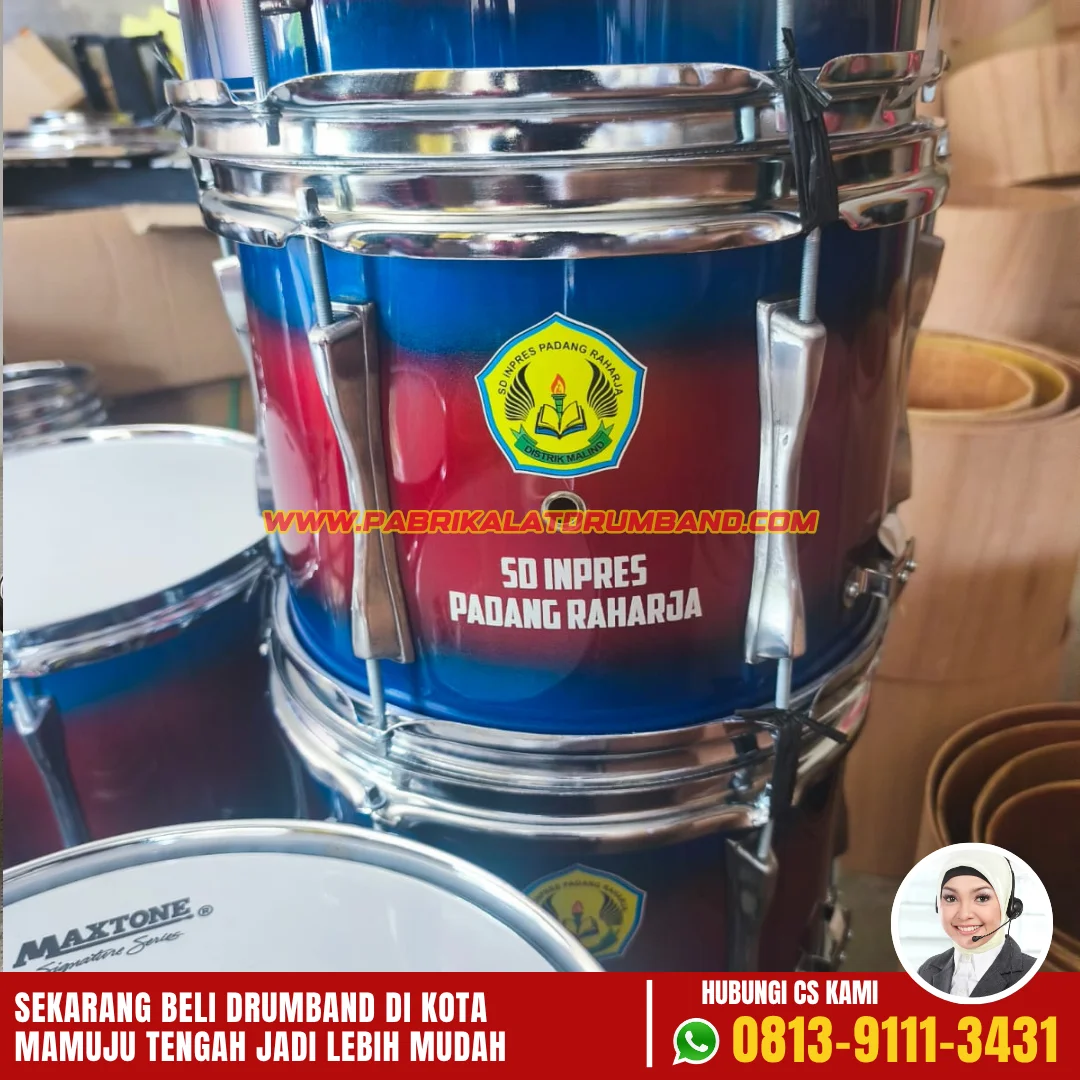 Jual Drum Band Mamuju Tengah-5